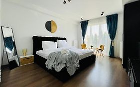 Aventurescu Studio Brasov Coresi